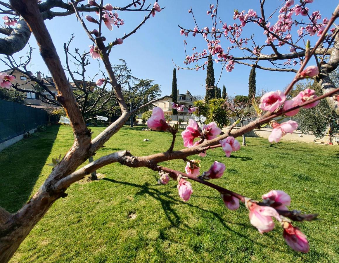 Villa Itaca Lido di Fermo Esterno foto